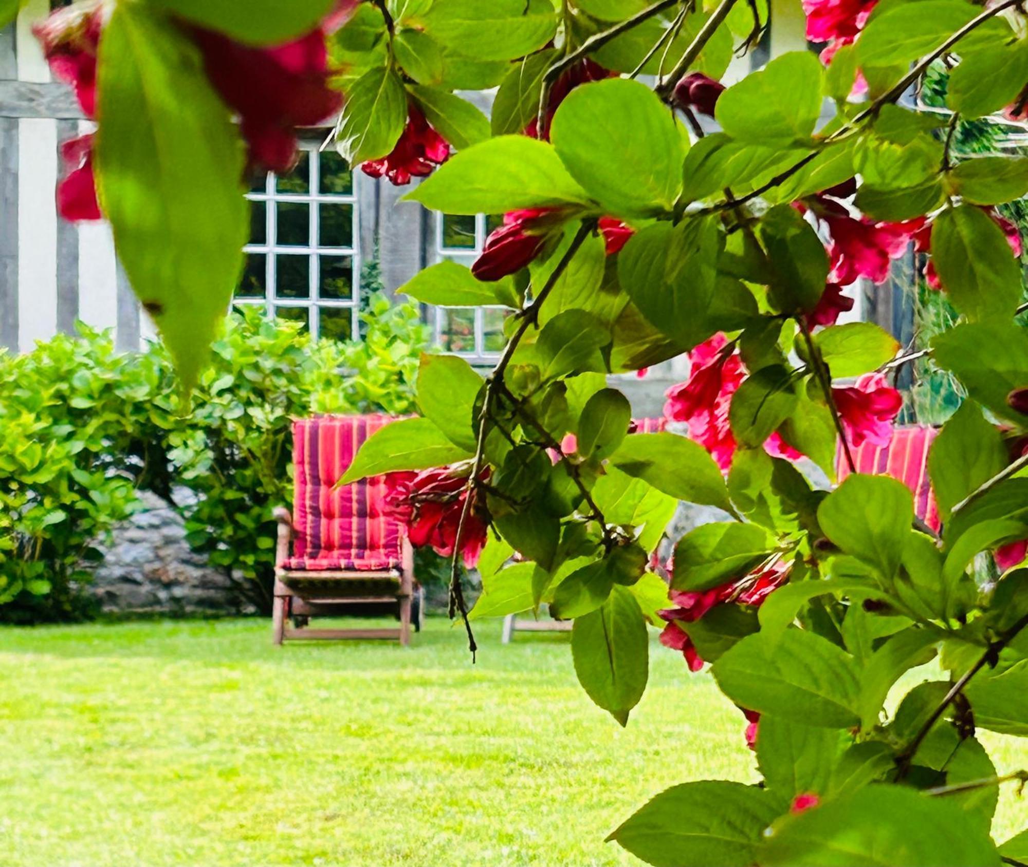 Les Hortensias Manerbe Exterior foto